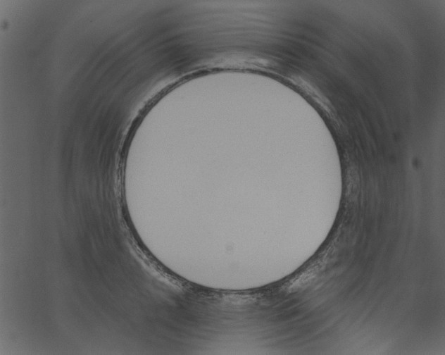 X0000062670848200601111242