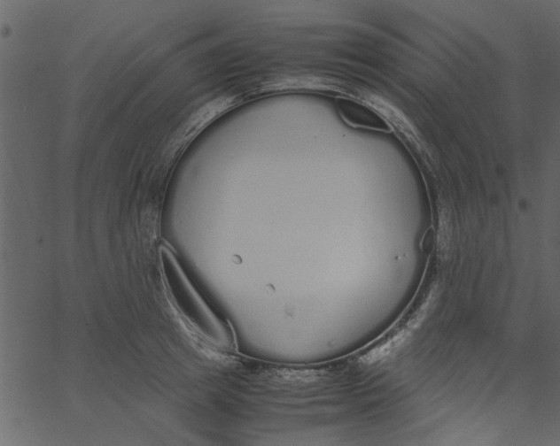 X0000062670849200601111242