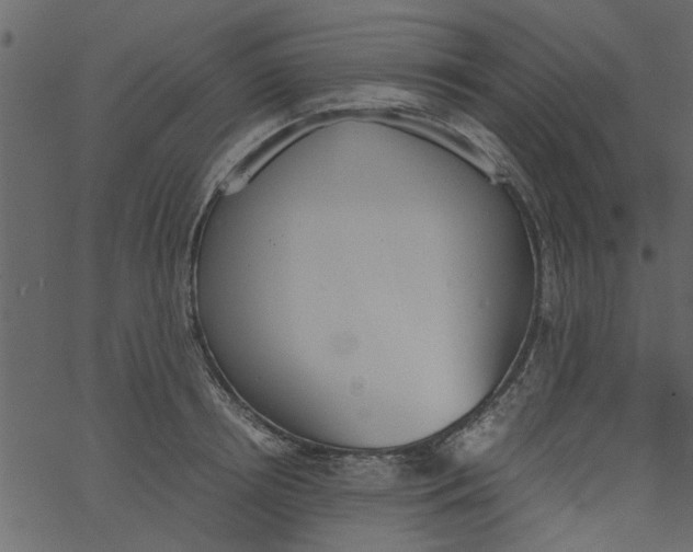 X0000062670850200601111242