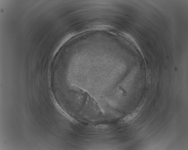 X0000062670851200601111242