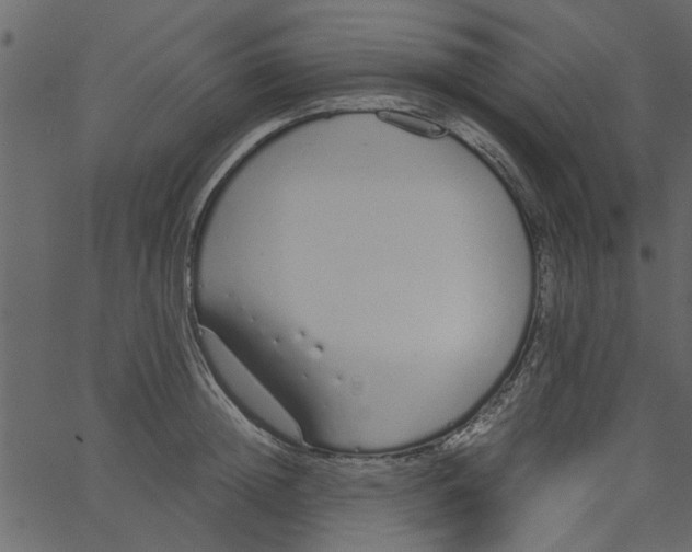 X0000062670852200601111242