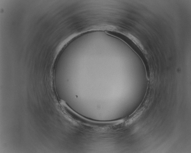 X0000062670854200601111242