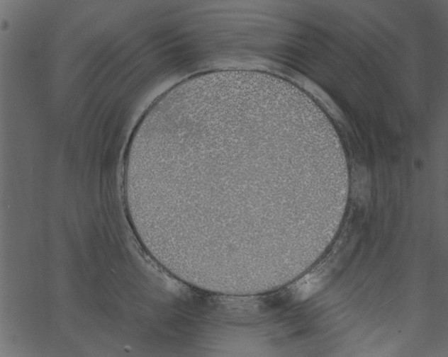 X0000062670856200601111242