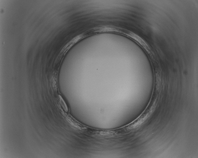 X0000062670857200601111242