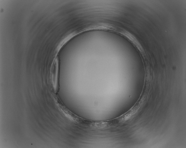 X0000062670858200601111242