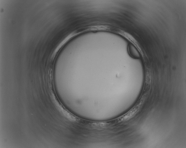 X0000062670859200601111242