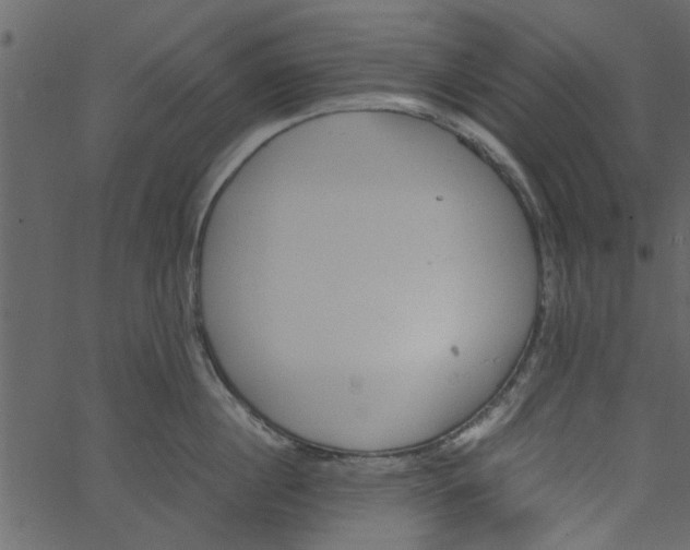 X0000062670860200601111242