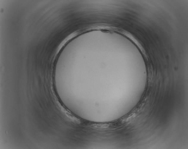 X0000062670861200601111242