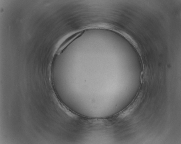 X0000062670862200601111242