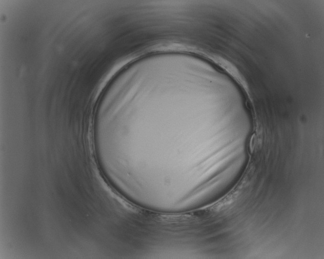 X0000062670863200601111242