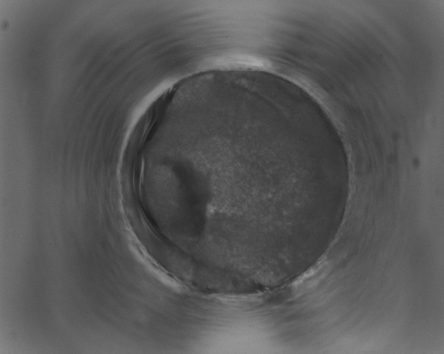 X0000062670864200601111242