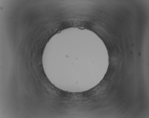 X0000062670865200601111241