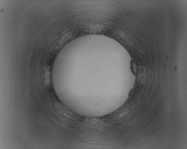 X0000062670866200601111241