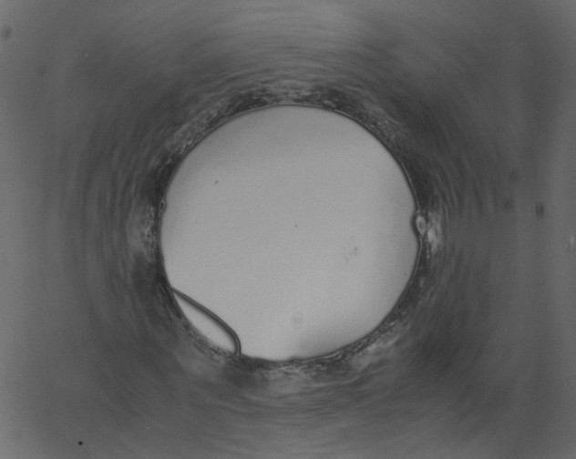 X0000062670867200601111241