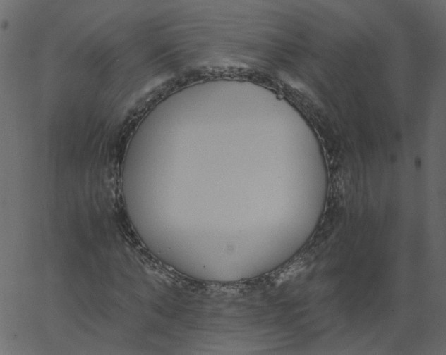 X0000062670870200601111241