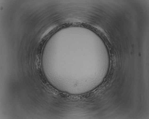 X0000062670871200601111241