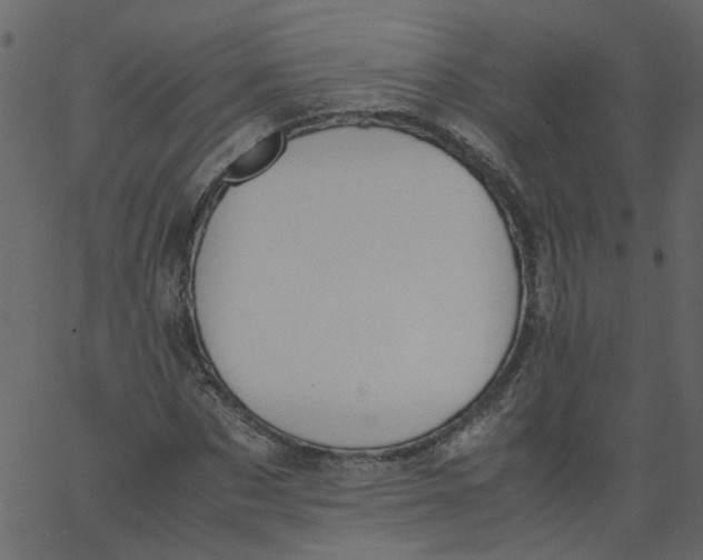 X0000062670873200601111241