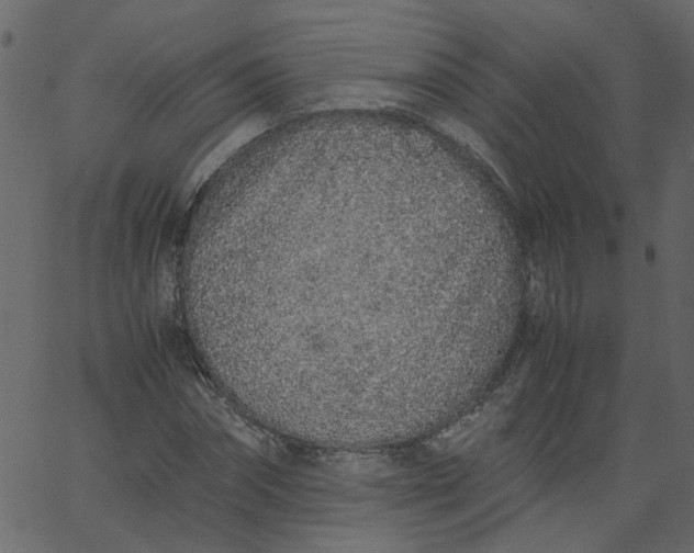 X0000062670874200601111241