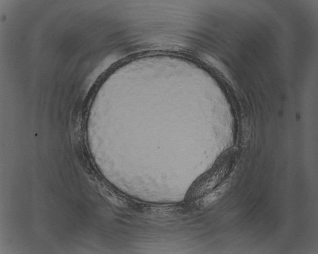 X0000062670875200601111241