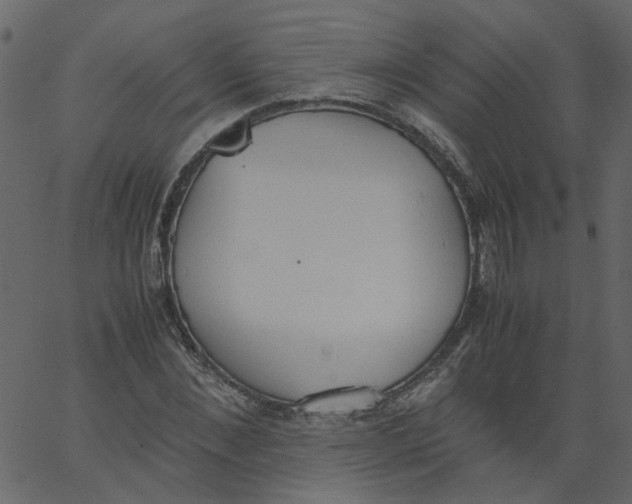 X0000062670876200601111241