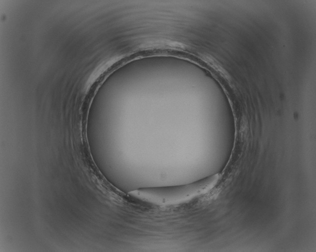 X0000062670877200601111241