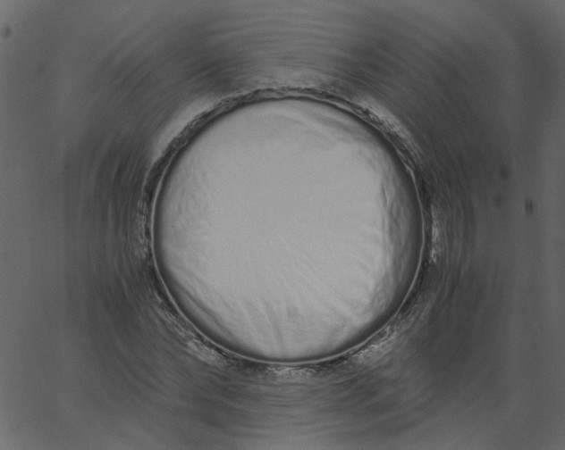 X0000062670878200601111241