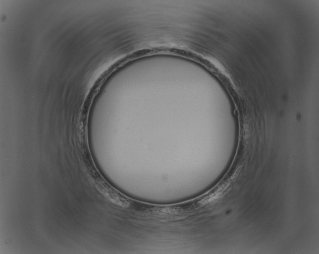 X0000062670879200601111241