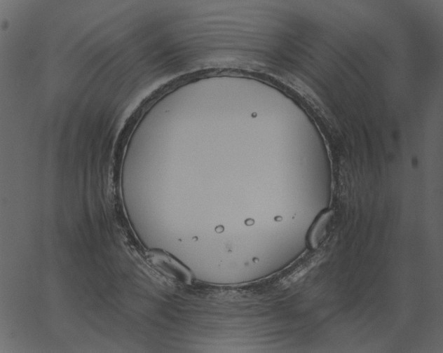 X0000062670880200601111241