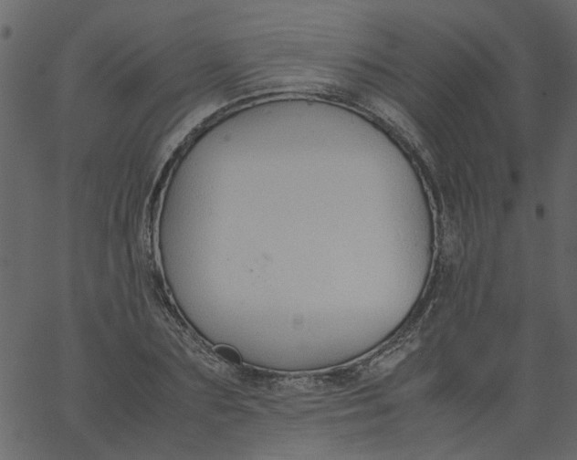 X0000062670883200601111241