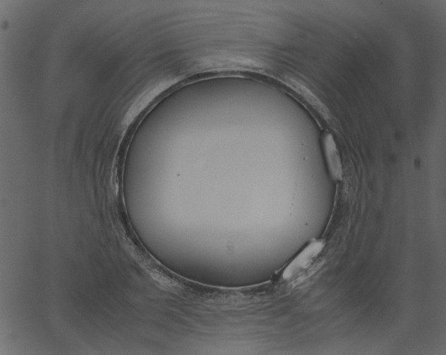 X0000062670885200601111241