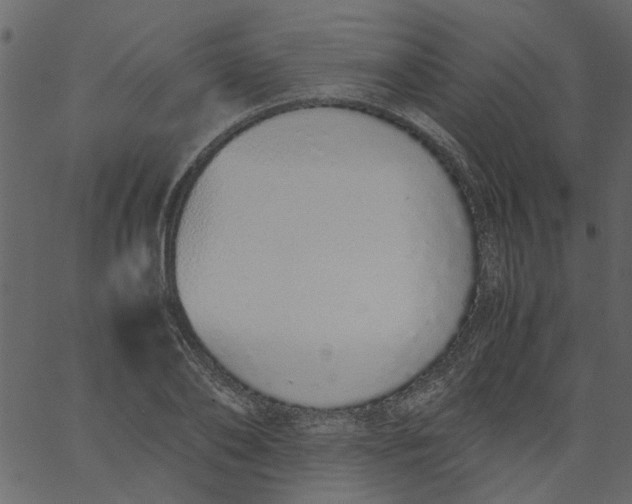 X0000062670886200601111241