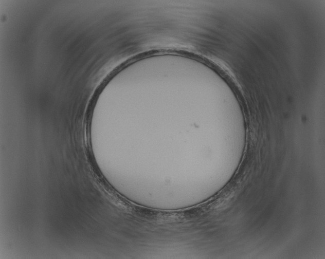 X0000062670887200601111241