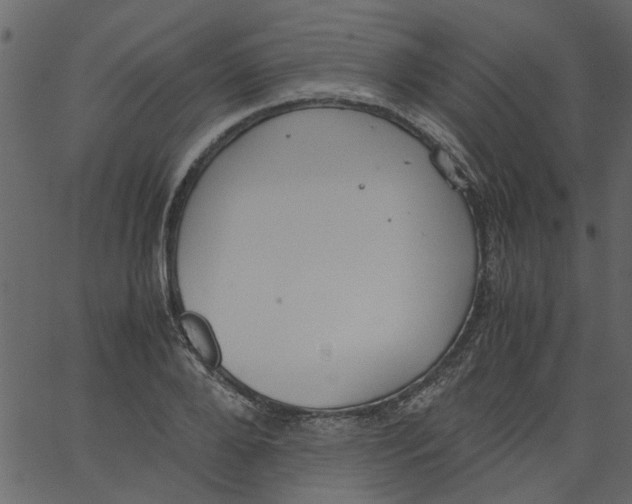 X0000062670888200601111241