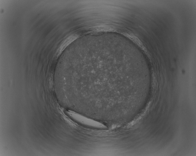 X0000062670889200601111241