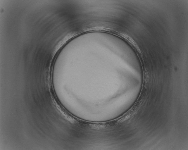 X0000062670890200601111241