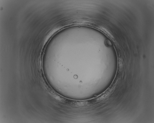 X0000062670891200601111241