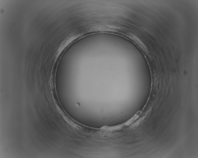 X0000062670893200601111241