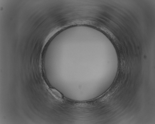 X0000062670894200601111241