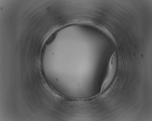 X0000062670896200601111241