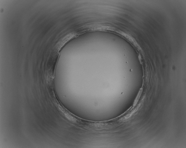 X0000062670897200601111241