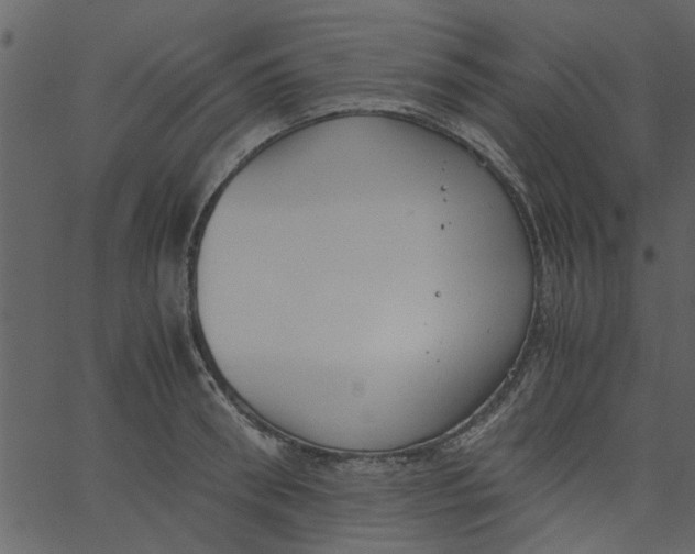 X0000062670898200601111241