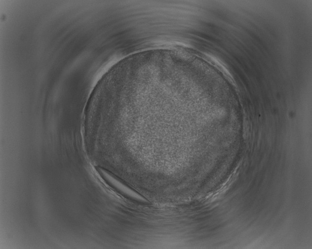 X0000062670899200601111241