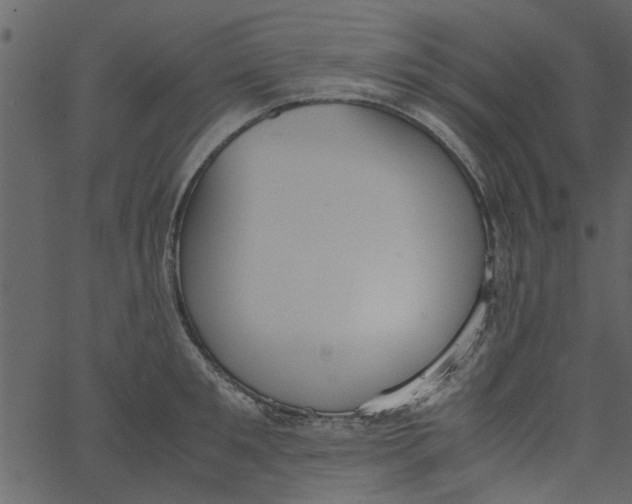 X0000062670901200601111241