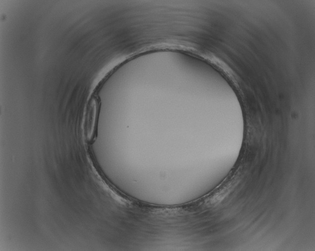 X0000062670902200601111241