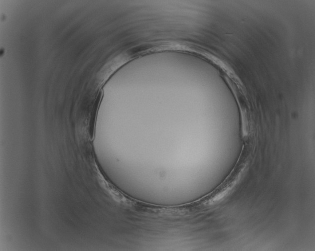 X0000062670905200601111241