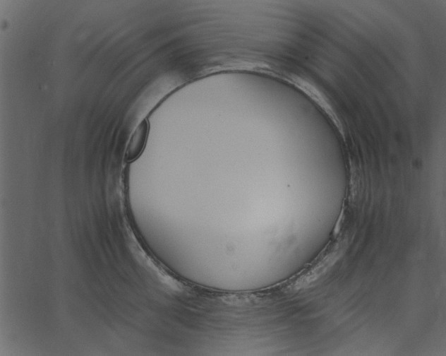 X0000062670906200601111241