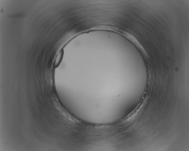 X0000062670908200601111241