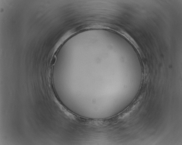 X0000062670909200601111241