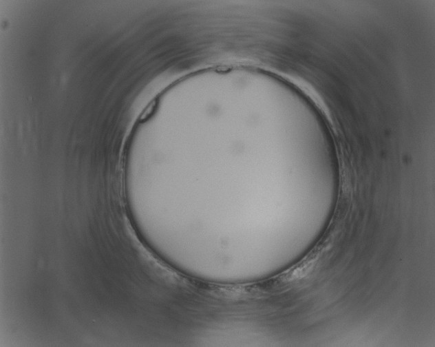 X0000062670911200601111241