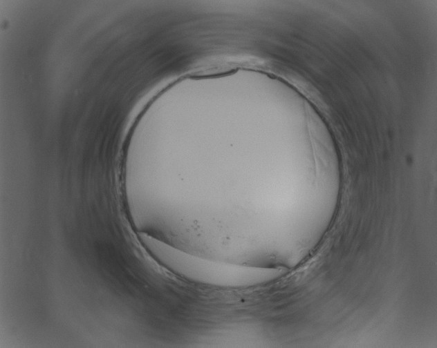 X0000062670912200601111241